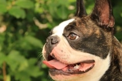 EspoonElmo9kkPaa07072021-2