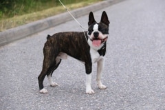 EspoonElmo9kkSeisoo07072021-13