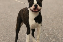 EspoonElmo9kkSeisoo07072021-6