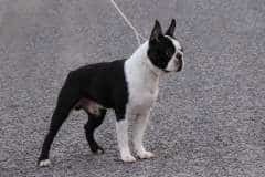 5b033b50-864a-4f84-9c8e-cc3d192775d0