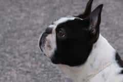 d121f3d4-251b-4ae4-863e-af7972f37554