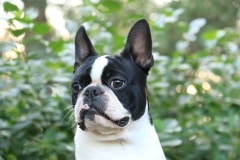Leevi10kkPaa10072021-5