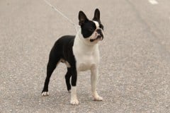 Leevi10kkseisoo10072021-12