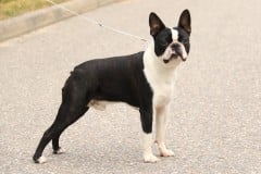 Leevi10kkseisoo10072021-13