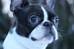 Tauno1v6kk01022023-7