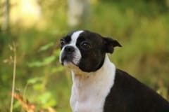 Ulpu2v2kk16092018Pohjaslahti-13