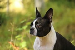 Ulpu2v2kk16092018Pohjaslahti-20