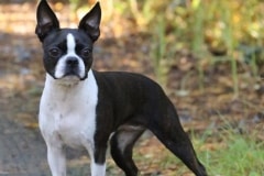 Ulpu2v2kk16092018Pohjaslahti-3