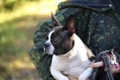 Ulpu2v2kk16092018Pohjaslahti-9